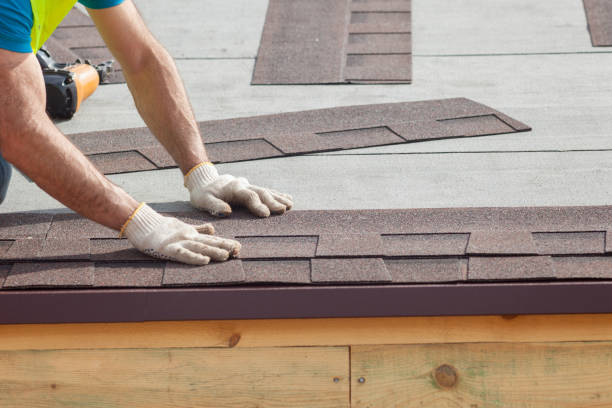 Best Roof Moss and Algae Removal  in Watervliet, MI