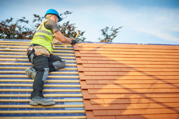 Best Roof Ventilation Installation  in Watervliet, MI